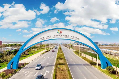 关注 光谷,是什么颜色