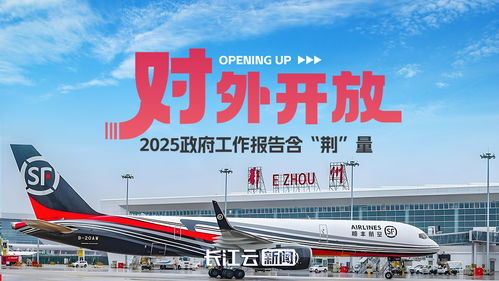 东楚网