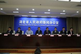 中国 湖北 自由贸易试验区挂牌两周年新闻发布会