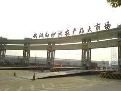 禽蛋_湖北顺达惠民农副产品贸易