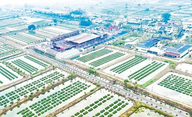 湖北农民基本实现基础金融服务不出村 综合金融服务不出镇