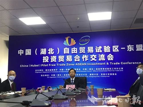 湖北自贸试验区与东盟展开投资贸易合作交流