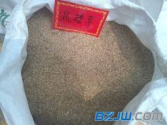 【混播草市场最新行情资讯:北京销量最好的厂家】_混播草市场最新行情资讯:北京销量最好的厂家价格_混播草市场最新行情资讯:北京销量最好的厂家厂家-到中华标准件网