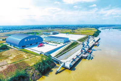 朝向高质量发展|江岸,跑起来!