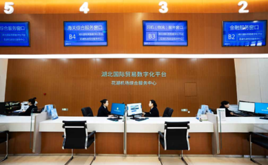 中国(湖北)国际贸易单一窗口