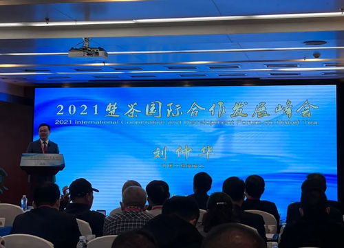 疫情不减缕缕茶香出海 湖北外贸茶企 有喜亦有忧