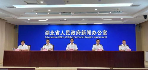 上半年湖北省进出口数据出炉 进出口总值2448.6亿元,外贸连续15月正增长