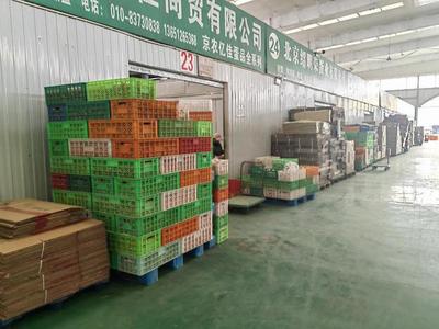 鸡蛋市场调查:连降六周后蛋价悄悄"抬头",未来还会不会有过山车?