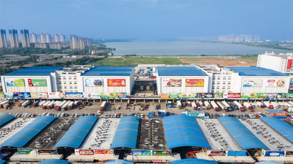 农发国贸:构建优质农产品国际贸易供应链 助力湖北打造内陆开放“新沿海”