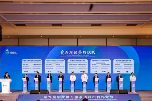 直击第九届中蒙俄万里茶道城市合作大会 古商道焕发新活力