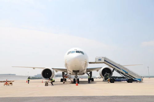 66吨非洲咖啡豆 空降 鄂州 中非空中丝路刷新贸易时速