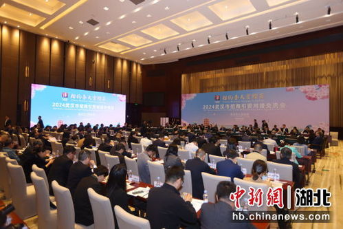中新网湖北 2024武汉市招商引贸对接交流会签约24个项目
