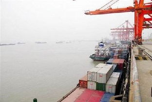 少用240万张a4纸 湖北省外贸通关实现全流程 无纸化