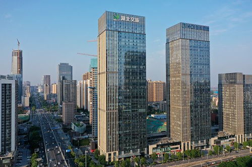 湖北国贸收购完成,上海雅仕将换帅
