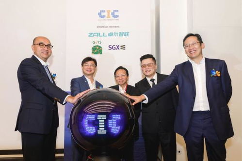 湖北与新加坡共建跨境贸易平台，首月成交额突破2亿美元